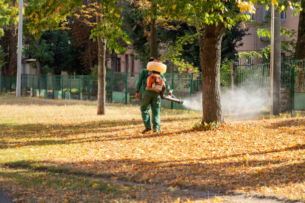 Wasp Removal Services in Elmwood Park, IL